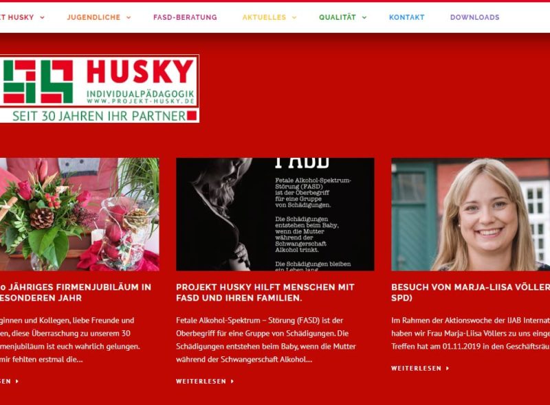 Projekt Husky - Individualpädagogik