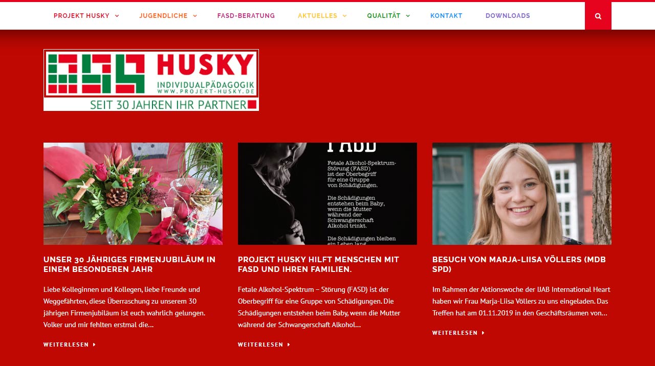 Projekt Husky - Individualpädagogik