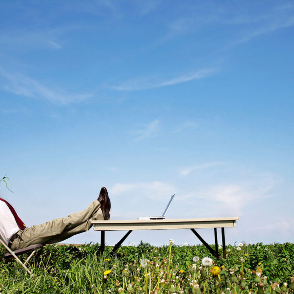 endlich sorglos online - eso: Entspannter Geschäftsmann in einem Liegestuhl auf einer Blumenwiese liegend