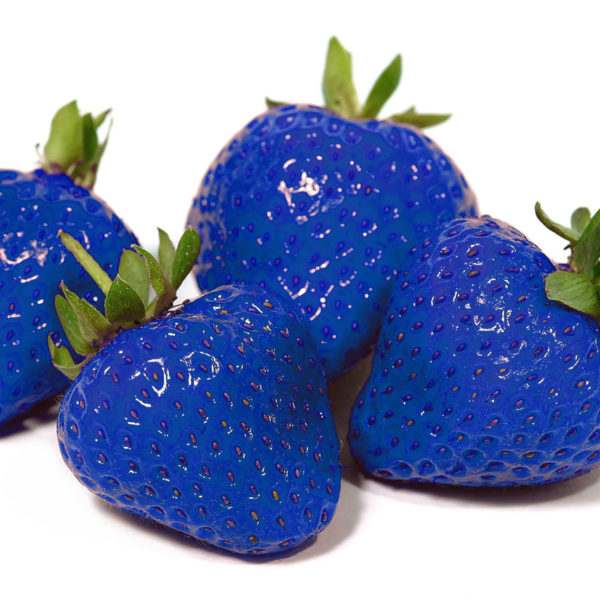 Blaue Erdbeeren